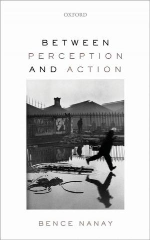 Cover of the book Between Perception and Action by Robert Blinc