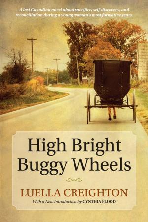 bigCover of the book High Bright Buggy Wheels by 