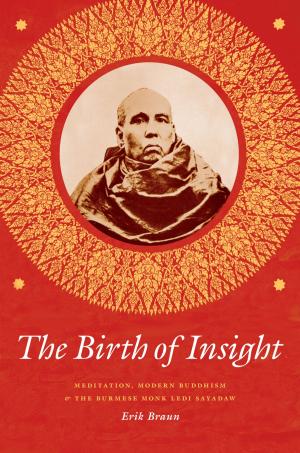 Cover of the book The Birth of Insight by Elizabeth V. Baker
