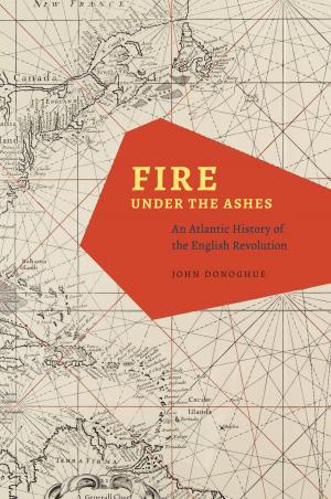 Book cover of Fire under the Ashes