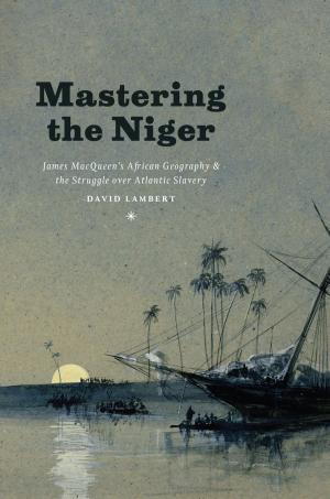 Cover of the book Mastering the Niger by Thierry de Duve