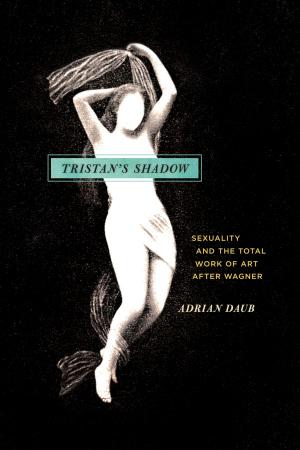 Cover of the book Tristan's Shadow by Ben-Erik van Wyk