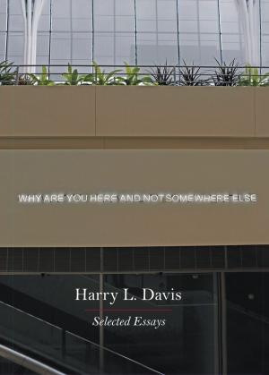 Cover of the book Why Are You Here and Not Somewhere Else by 