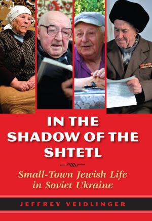 Cover of the book In the Shadow of the Shtetl by Dominique Janicaud