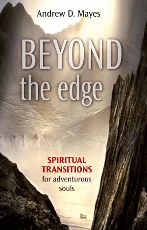Cover of the book Beyond the Edge by The Rt Revd Stephen Oliver