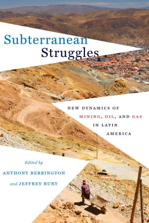 Cover of the book Subterranean Struggles by Mark Fishman
