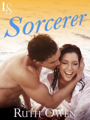 Cover of the book Sorcerer by Michael Byrnes