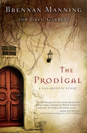 Cover of the book The Prodigal by Amy Clipston
