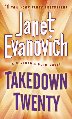 Cover of the book Takedown Twenty by Stephanie Barron