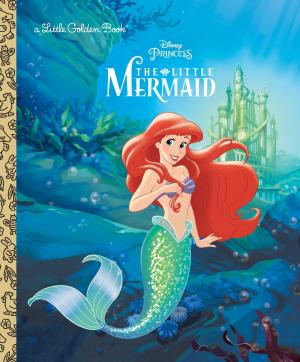 Cover of the book The Little Mermaid (Disney Princess) by Dandi Daley Mackall