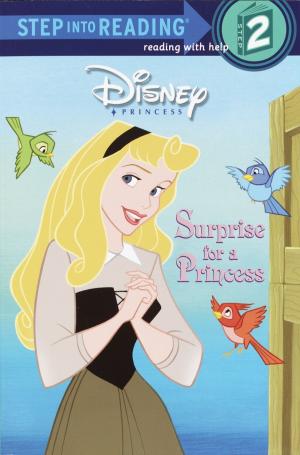 bigCover of the book Surprise for a Princess by 