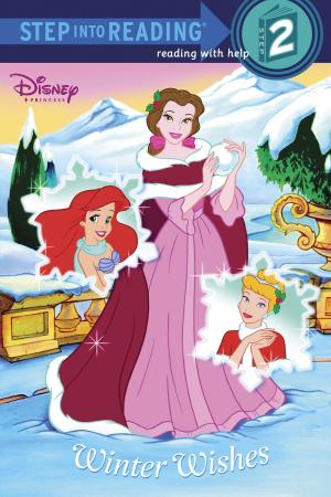 bigCover of the book Winter Wishes (Disney Princess) by 