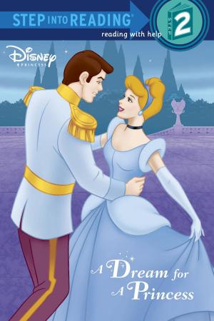 Book cover of A Dream for a Princess