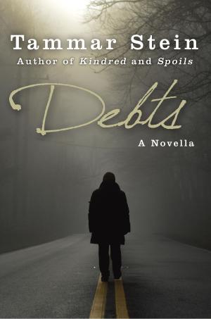 Cover of the book Debts: A Novella by Anna Jane Hays