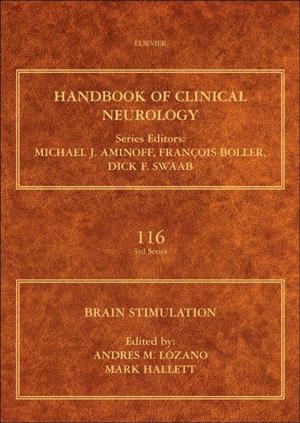 Cover of the book Brain Stimulation by Jaroslav Sestak