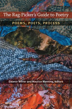 Cover of the book The Rag-Picker's Guide to Poetry by Jami K. Taylor, Donald P. Haider-Markel, Daniel C. Lewis