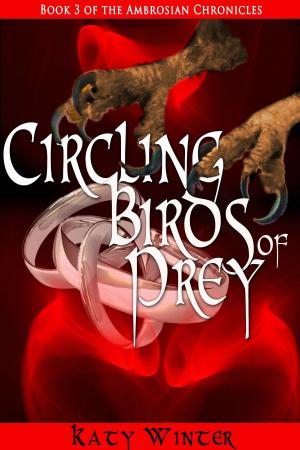 Cover of Circling Birds of Prey