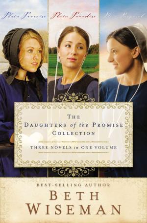 Cover of the book A Daughters of the Promise Collection by Penelope Seiffert