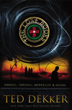 Book cover of The Lost Books