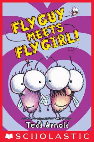 Cover of the book Fly Guy Meets Fly Girl! (Fly Guy #8) by Greg Tang, Harry Briggs