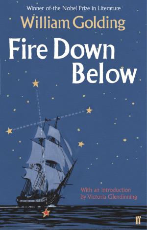 Cover of the book Fire Down Below by Florian Zeller