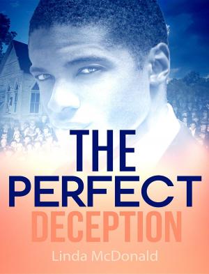 Cover of the book The Perfect Deception by Stuart Leonard