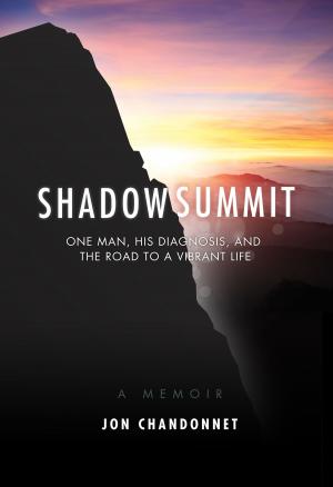 Cover of the book Shadow Summit by Christine Hannon