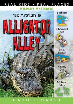 Cover of The Mystery in Alligator Alley