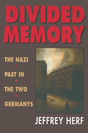 Cover of the book Divided Memory by Julia C. Ott