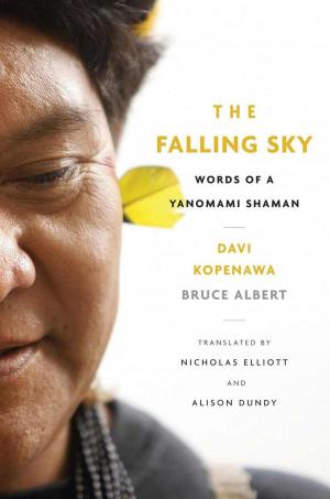bigCover of the book The Falling Sky by 