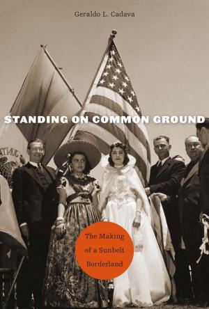 Cover of the book Standing on Common Ground by Franklin E. Zimring