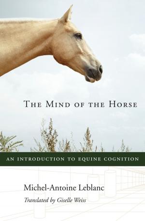 Cover of the book The Mind of the Horse by Maggie Dana