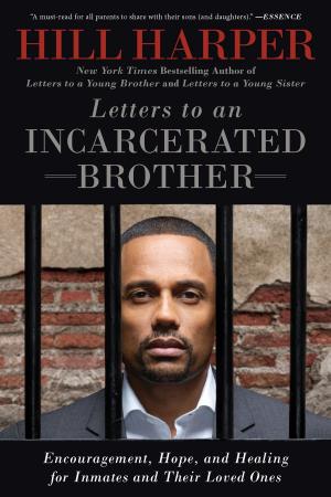 Cover of the book Letters to an Incarcerated Brother by Halle Butler
