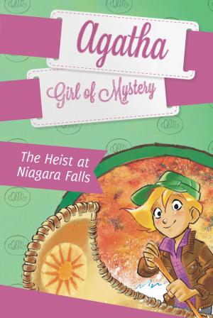Cover of the book The Heist at Niagara Falls #4 by Carolyn Keene