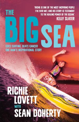 Cover of the book The Big Sea by Garry Disher