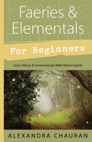 Cover of the book Faeries & Elementals for Beginners by Caitlin Matthews, Virginia Chandler, John Matthews, Gareth Knight