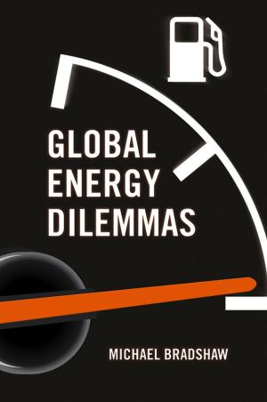 Cover of the book Global Energy Dilemmas by Michael Woodford, Marlies Ferber, Andreas Schieberle