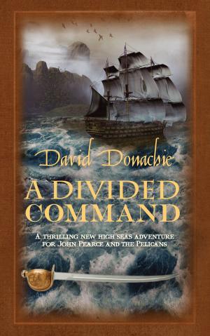 Cover of the book A Divided Command by John Wilcox