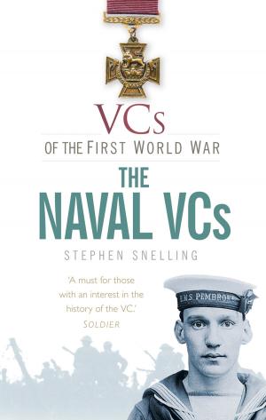 Cover of the book VCs of the First World War by Patrick C. Notchtree