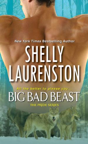 Cover of the book Big Bad Beast by Mary Ann Marlowe