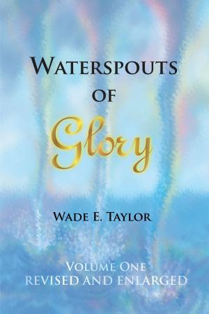 Cover of the book Waterspouts of Glory by Martha Jules-White
