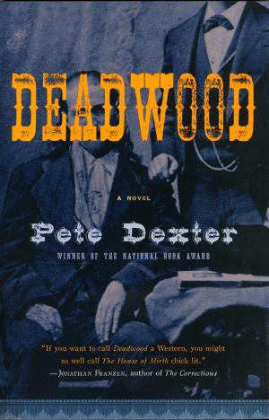 Cover of the book Deadwood by Emma Richler