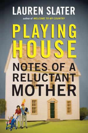 Cover of the book Playing House by Michael Gecan
