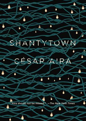 Cover of the book Shantytown by César Aira