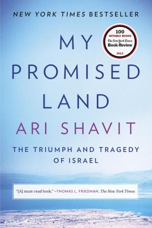 bigCover of the book My Promised Land by 