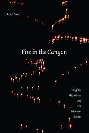 Cover of the book Fire in the Canyon by James M. Lindgren