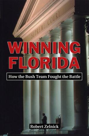 Cover of the book Winning Florida by Itamar Rabinovich
