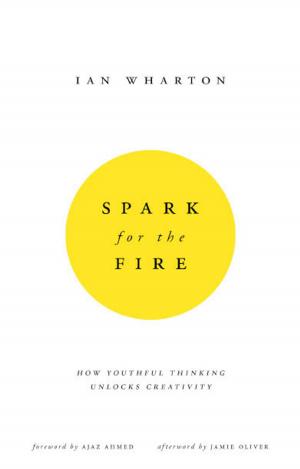 Cover of the book Spark for the Fire by vicky mcgahey