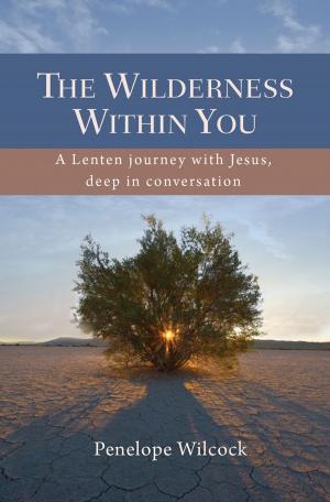 Cover of the book The Wilderness within You by Revd Dr Richard Turnbull