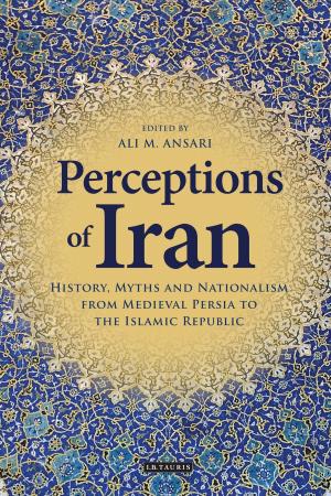 Cover of the book Perceptions of Iran by The Revd Dr Brett Gray